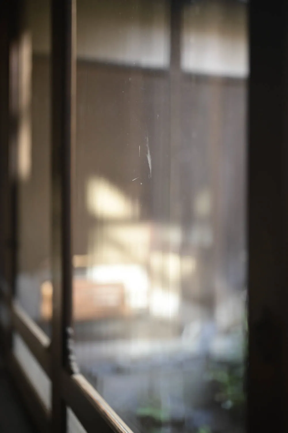 The garden, softened by old wavy glass.